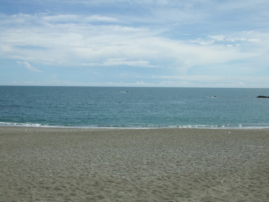 桂浜と水平線