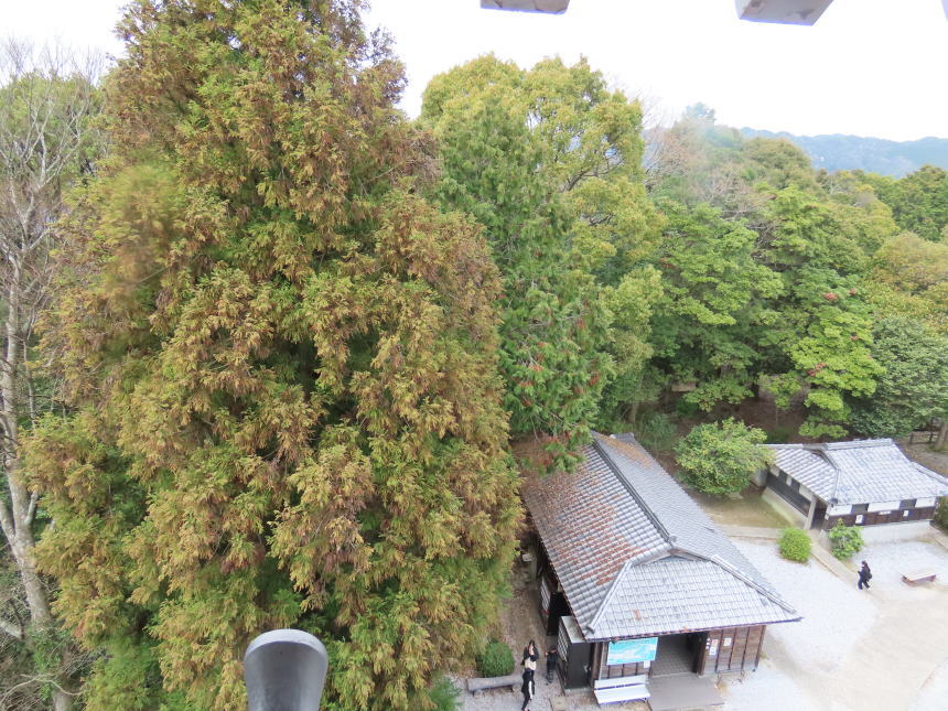 天守4階からの眺望(北側)